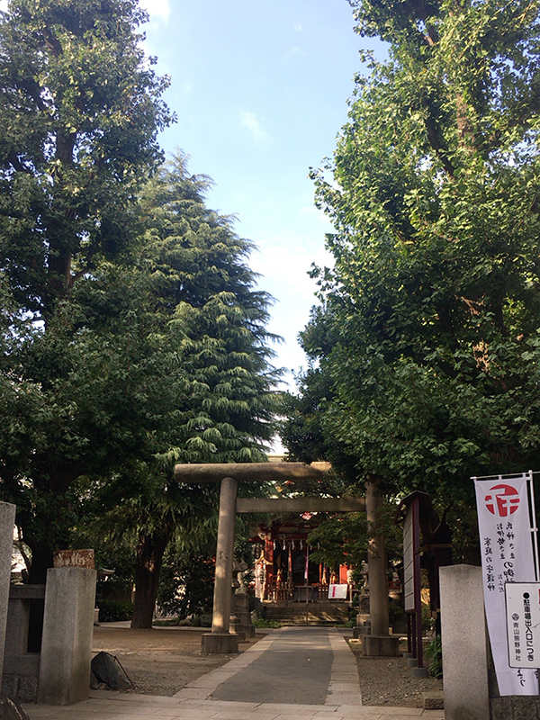 OTHER PHOTO：青山熊野神社