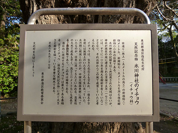 OTHER PHOTO：赤坂 氷川神社