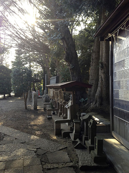OTHER PHOTO：前原 御嶽神社
