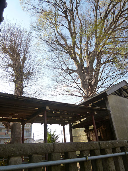 OTHER PHOTO：稲荷神社（夏見）