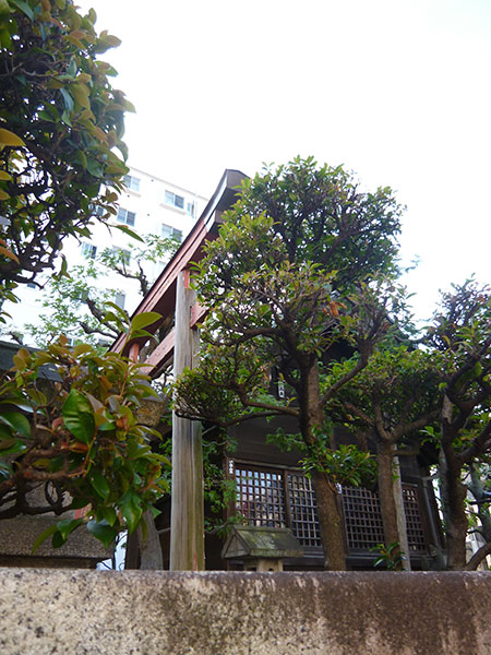 OTHER PHOTO：野見宿彌神社