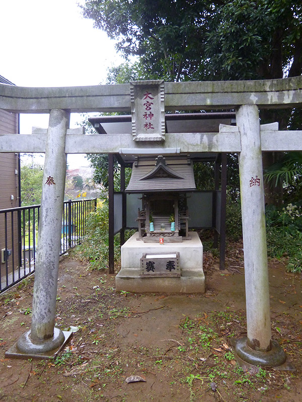 MAIN PHOTO：大宮神社（実籾）