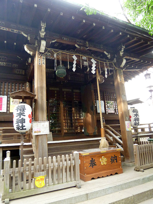 MAIN PHOTO：櫻木神社