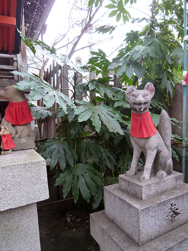 OTHER PHOTO：櫻木神社