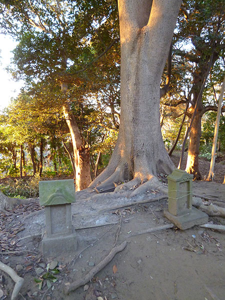 OTHER PHOTO：鷺沼 八剱神社
