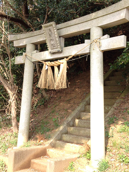 OTHER PHOTO：浅間神社（米本）