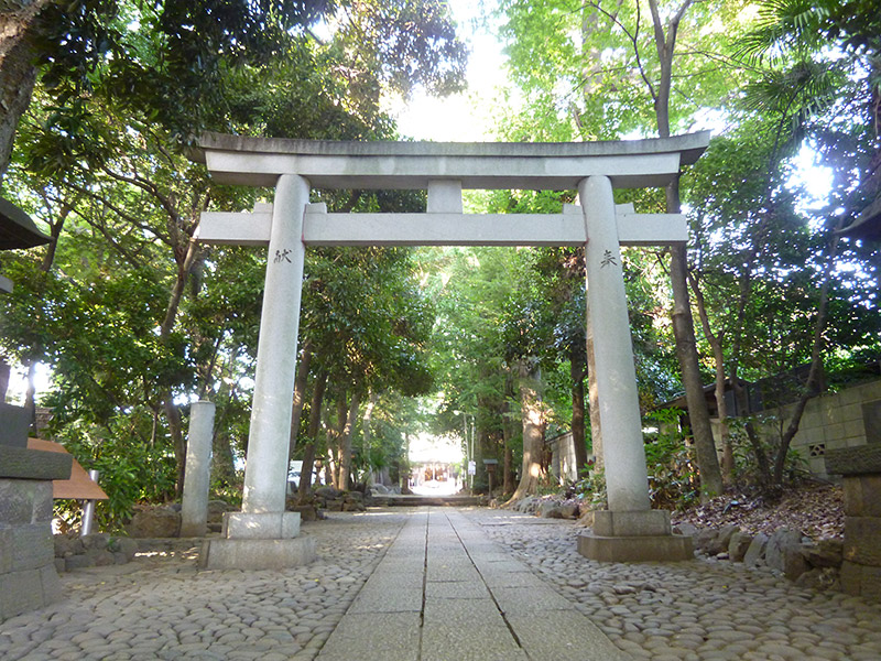 OTHER PHOTO：Yoyogi Hachiman shrine